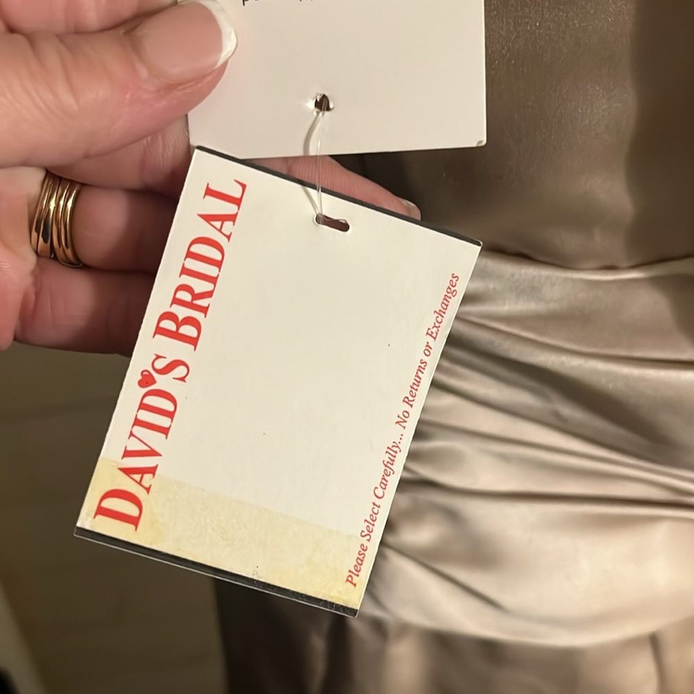 NWT Champagne Sleeveless Bridesmaid/Prom Dress Long - Picture 7 of 7